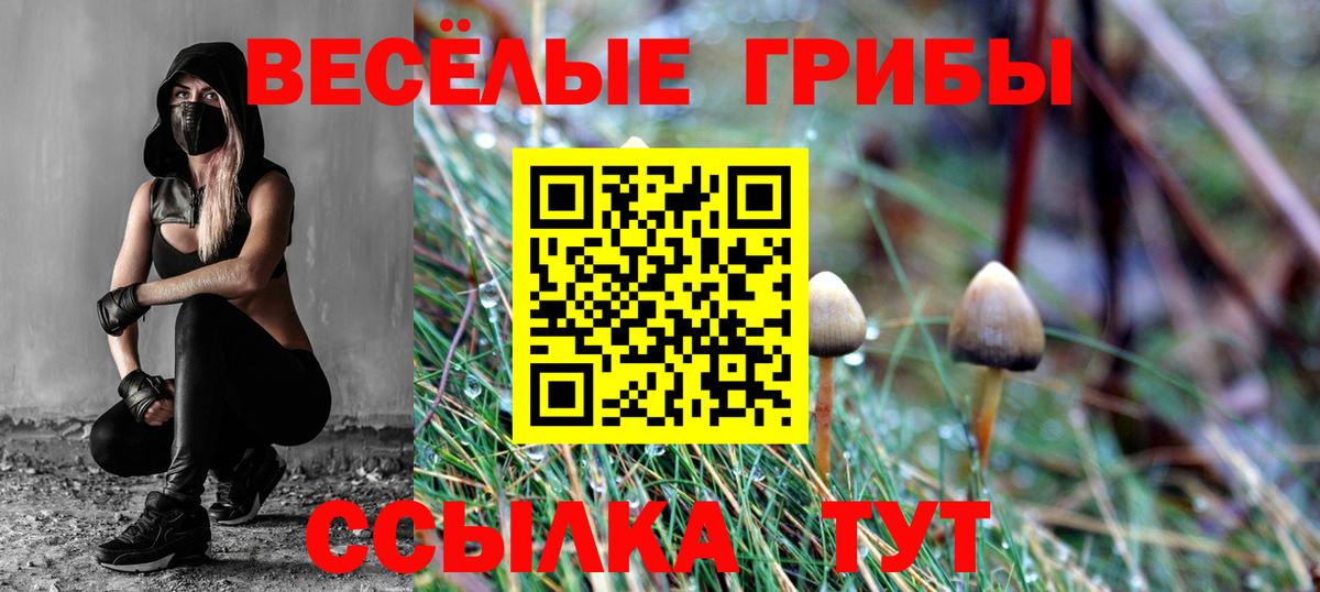 Галлюциногенные грибы MAGIC MUSHROOMS  Вход с VPN  Щёлково 